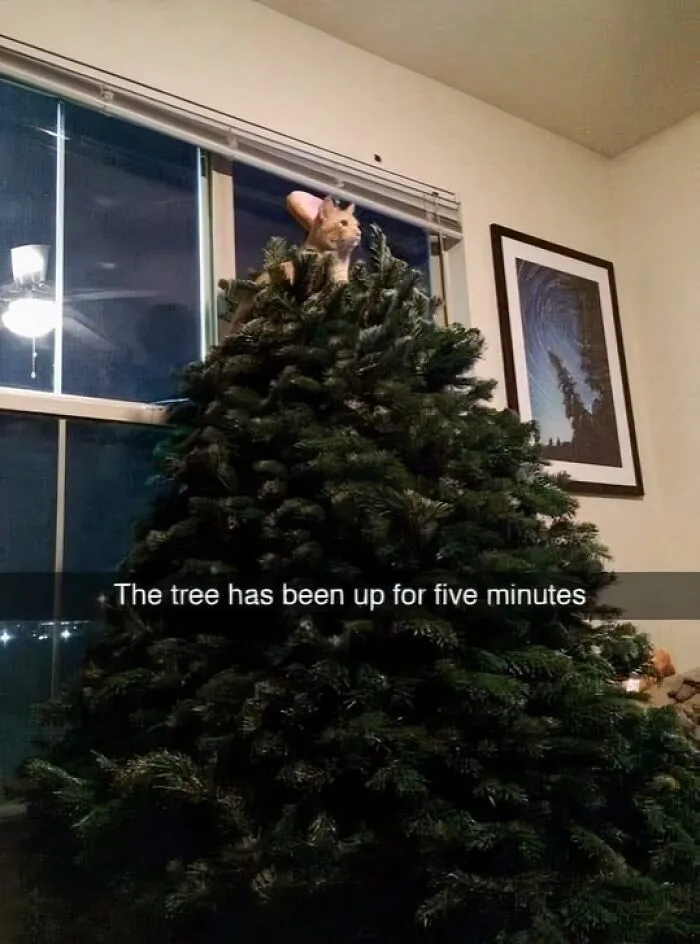 30 Pics That Are As Funny As They Are Unhinged