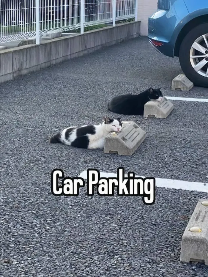 30 Pics That Are As Funny As They Are Unhinged