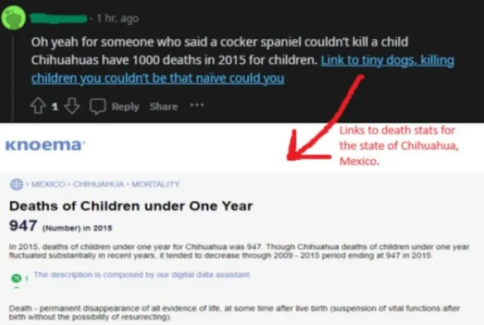 Chihuahua's Kill More Infants Than Pitbulls