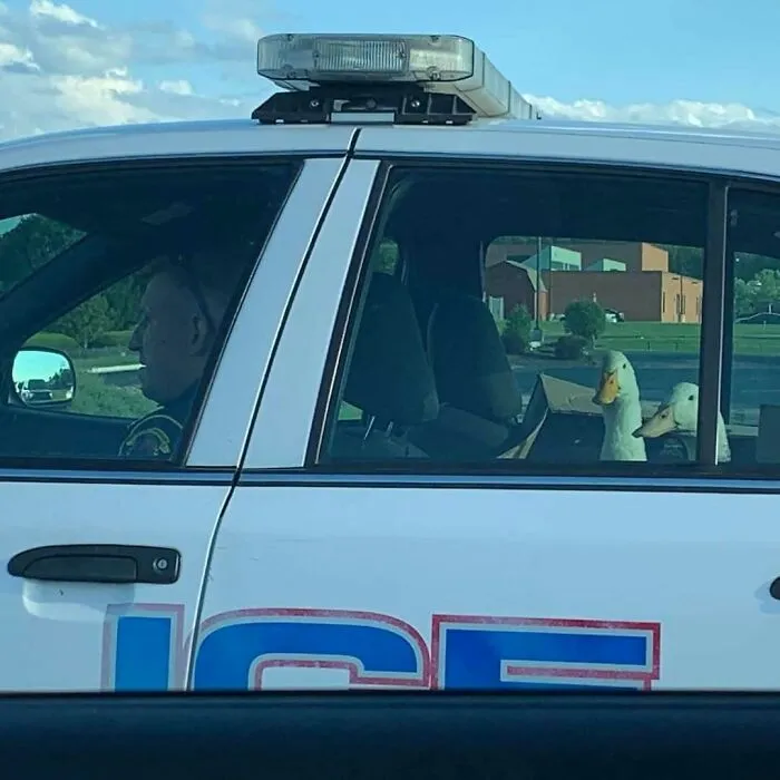 This Insta Page Shares Pics With Zero Context, Here Are 40 Of The Funniest And Weirdest Ones (New Pics)