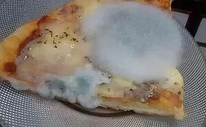 This IG Page Disturbs Its 200K Fans With Daily Cursed Images And Here Are 30 Of Their Newest Ones