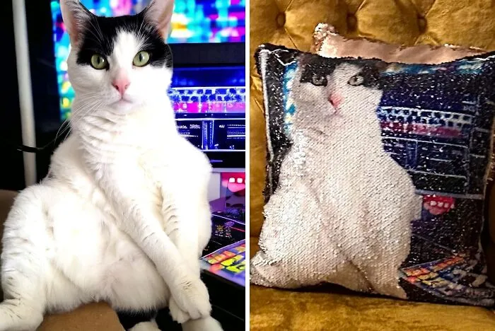 Personalize Your Gift With A<a Style="Display:inline;" Href="Https://Www.amazon.com/Personalized-Reversible-Pillowcase-Pictures-Champagne/Dp/B0bt4f4t64?ie=utf8&th=1&linkcode=ll1&tag=bpscorpion-20&linkid=57da7b540783dde837e14c30043c20c2&language=en_us&ref_=as_li_ss_tl" Target="_blank"> <span Style="Font: Inherit; Color: #d74b1f;"> Custom Picture Pillow With Reversible Sequins</Span>. Upload Your Favorite Photo, And Choose From A Variety Of Sequin Designs To Create A Unique And Stunning Piece