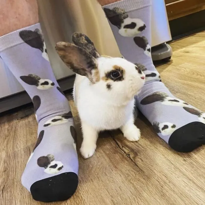 Brighten Up Their Day With A Pair Of <a Style="Display:inline;" Href="Https://Www.amazon.com/Custom-Picture-Personalized-Customized-Unisex/Dp/B08b1kntnx?ie=utf8&linkcode=ll1&tag=bpscorpion-20&linkid=0a0f23601baba9b097edce0363c97e83&language=en_us&ref_=as_li_ss_tl" Target="_blank"><span Style="Font: Inherit; Color: #d74b1f;"> Custom Face Socks</Span>. Whether It's A Picture Of Their Pet, A Loved One, Or A Favorite Celebrity, These Socks Are Sure To Bring A Smile And A Chuckle