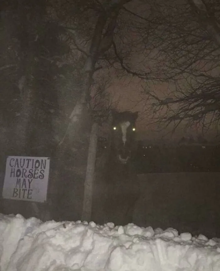 Nope