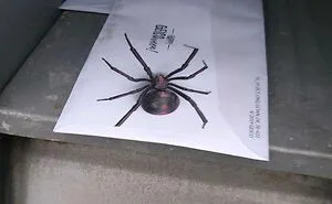 40 Infuriating Pictures That Evil Companies Don’t Want You To See (New Pics)