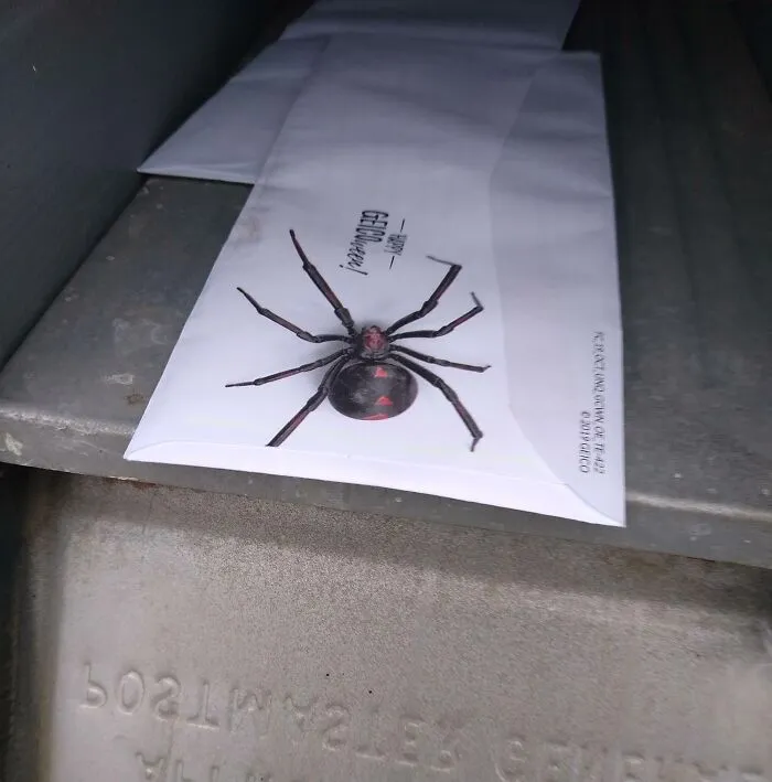 I Went To Get My Mail And This Was The First Thing I Saw