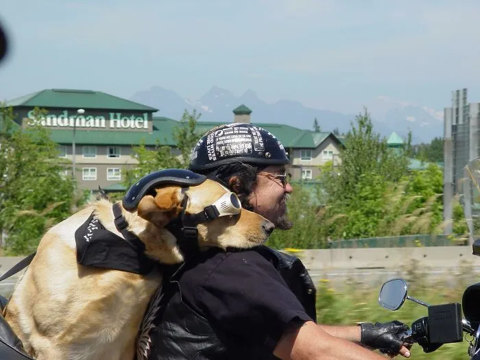 My Parents Snapped This Picture Driving Through Canada