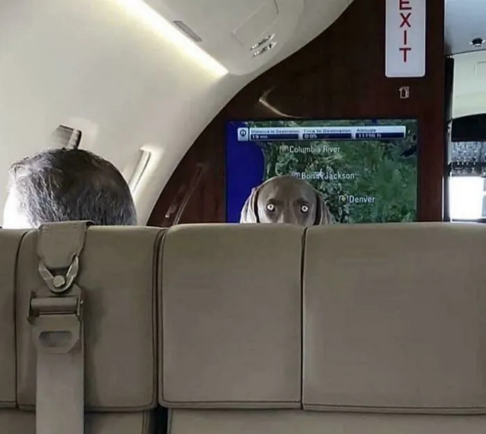 I Guess The Exit Isn’t An Option