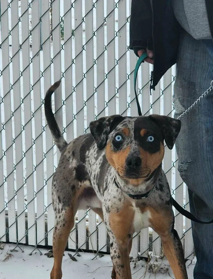 Came Across This Intense Lookin Fella