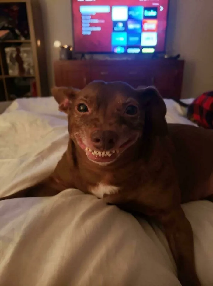 Smile
