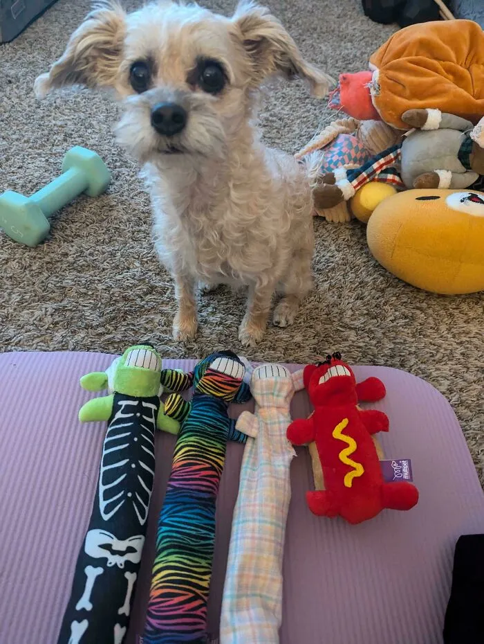 Can Trixxie Share Her Collection