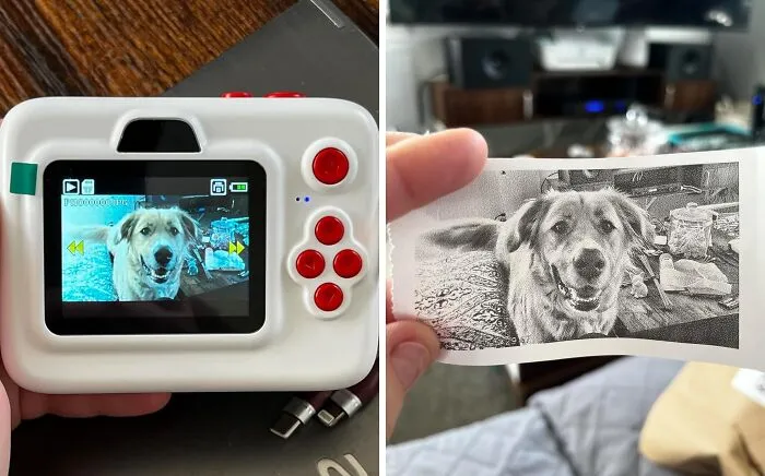 Capturing The Moment Became A Top Priority With <a Style="Display:inline;" Href="Https://Www.amazon.com/Dylanto-Christmas-Birthday-Portable-Boys-Blue/Dp/B0cqrfsfl6?ie=utf8&th=1&linkcode=ll1&tag=bpostrich-20&linkid=a2c7331010f07d18b8b62b526c038551&language=en_us&ref_=as_li_ss_tl" Target="_blank"><span Style="Font: Inherit; Color: #d74b1f;"> Instant Heat Printing Cameras</Span> Snapped Up This Black Friday