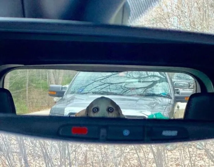 He Watches