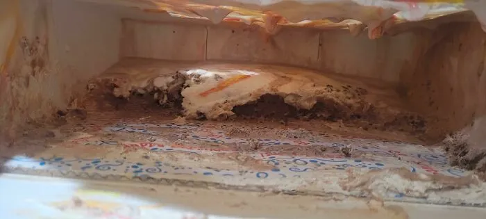 Me enviaron un pastel helado como regalo sorpresa. Esto es lo que vi cuando lo abrí