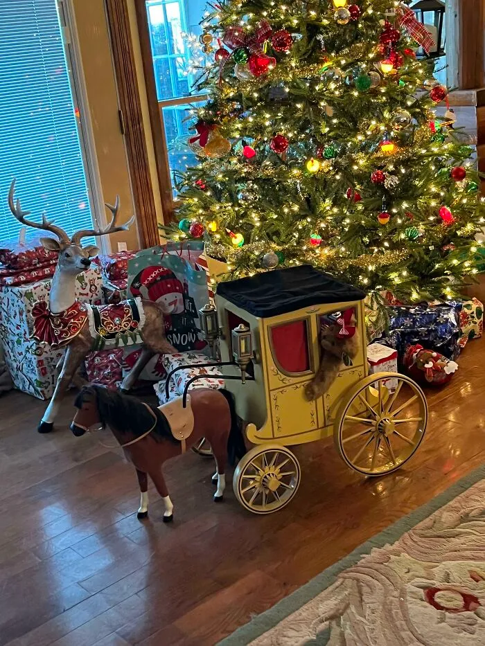 Growing Up My Parents Refused To Ever Get Me Dolls Or Accessories, I’m In My 20’s Now (No Kids) And They Have Decided To Buy Obnoxious Doll Stuff Each Year And Laugh In My Face