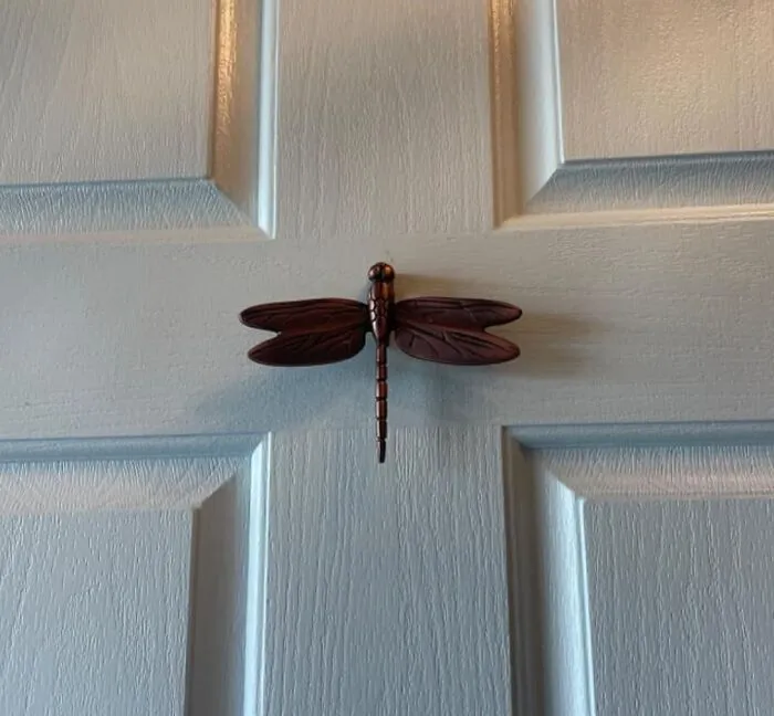 <a Style="Display:inline;" Href="Https://Www.amazon.com/Dragonfly-Knocker-Standard-Matte-Black/Dp/B085gjt2rm?ie=utf8&th=1&linkcode=ll1&tag=bpdog-20&linkid=7ac564538bf015f86f88f1a64292a8f3&language=en_us&ref_=as_li_ss_tl" Target="_blank"><span Style="Font: Inherit; Color: #d74b1f;"> Dragonfly Door Knocker </Span> Is The Whimsical Welcome That'll Delight Her With Its Delicate Design, Adding A Touch Of Magic To Her Daily Routine And Making Every Entrance Feel Like A Special Occasion