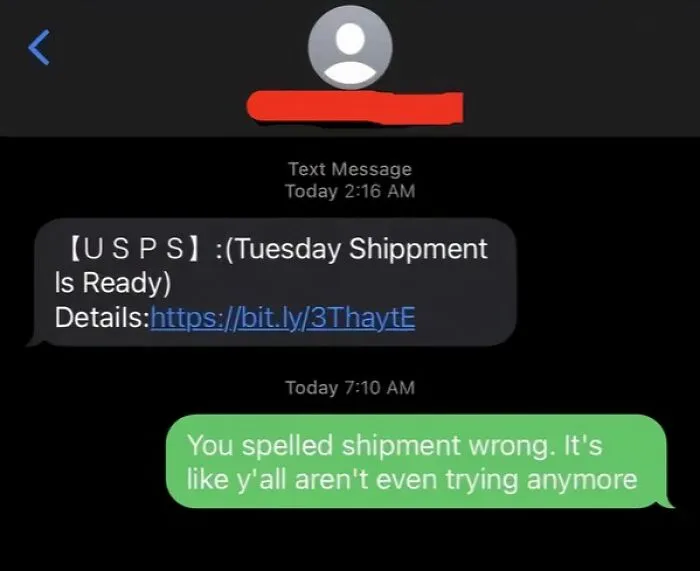 The Person Who Let A Scammer Know They Might Want To Double-Check Their Scams