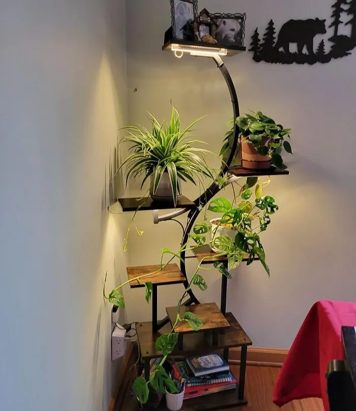 A Gift That's A Blooming Success For The Plant Lover! This<a Style="Display:inline;" Href="Https://Www.amazon.com/Bacekoll-Indoor-Lights-Multiple-S-Shaped/Dp/B0ct86yxl3?ie=utf8&linkcode=ll1&tag=bpemu-20&linkid=5669dbb5dabfe0d9f5979369cbaac13f&language=en_us&ref_=as_li_ss_tl" Target="_blank"> <span Style="Font: Inherit; Color: #d74b1f;"> 8-Tier Plant Stand With Grow Lights</Span> Is The Perfect Way To Showcase Their Favorite Plants And Provide Them With The Perfect Growing Conditions, Featuring Adjustable Grow Lights That Cater To Different Plant Needs