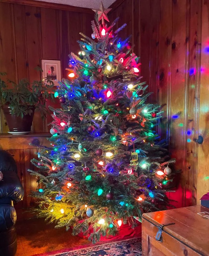 Tree Is Up! I Think The Lights Are Older Than Me