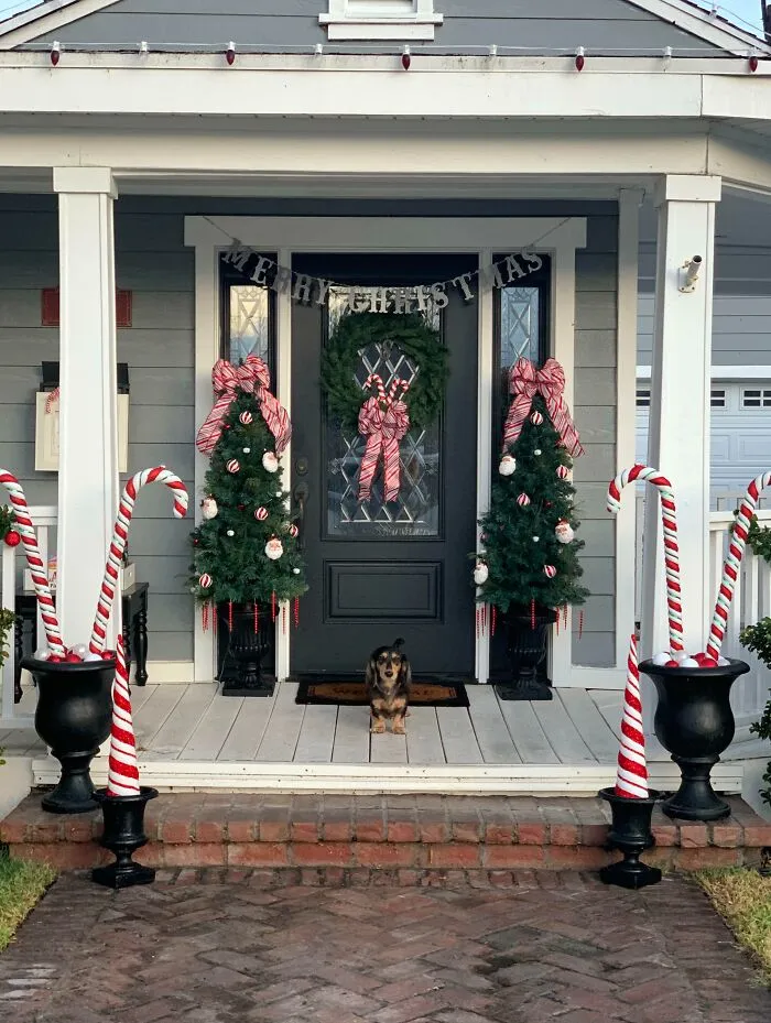 My Pup Wishes You All A Merry Christmas