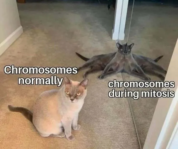 35 Scientifically Proven Memes For Those With An Intellectual Sense Of Humor
