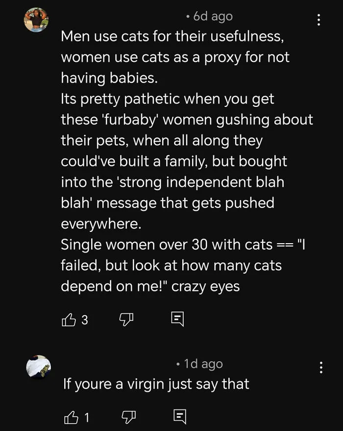 On A Comment Thread Of People Who Own 6+ Cats