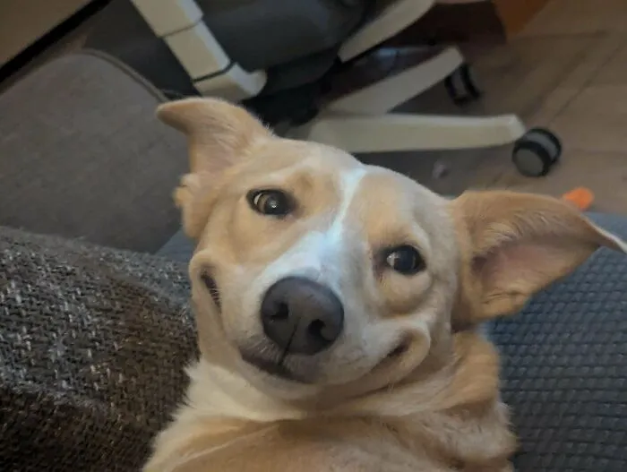 Oh Lawd She Smilin