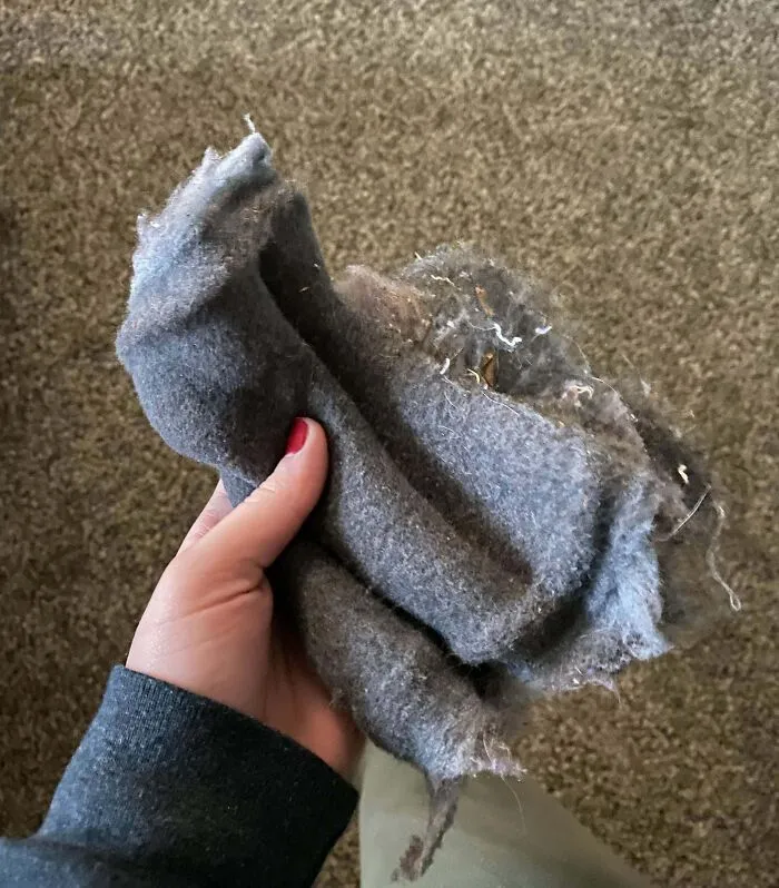 Soy la única persona en mi familia que se encarga de limpiar el filtro de pelusas de la secadora. Cada vez que saco el cajón, me sorprende que el aparato no haya causado un incendio todavía