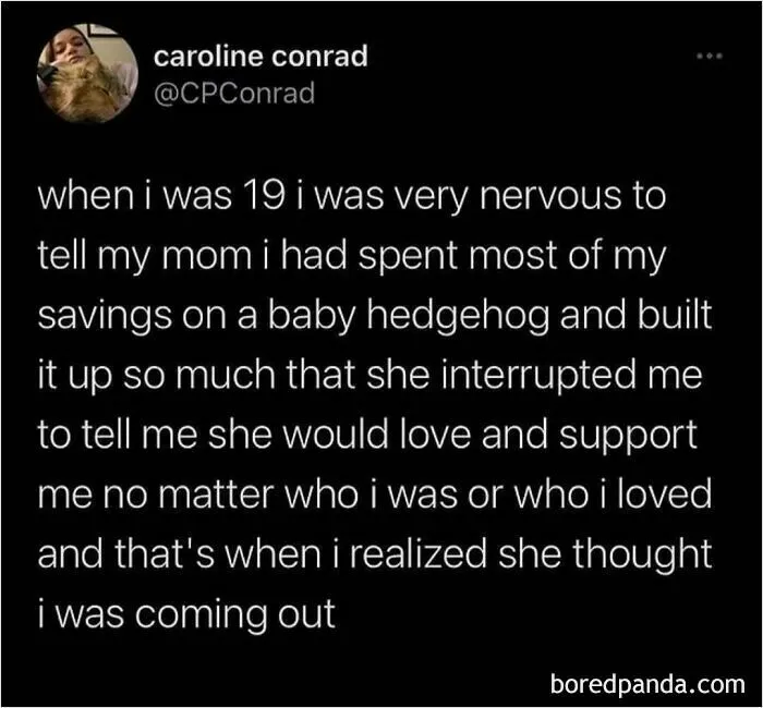 40 Memes That Capture Humor, Chaos, And Everything In Between