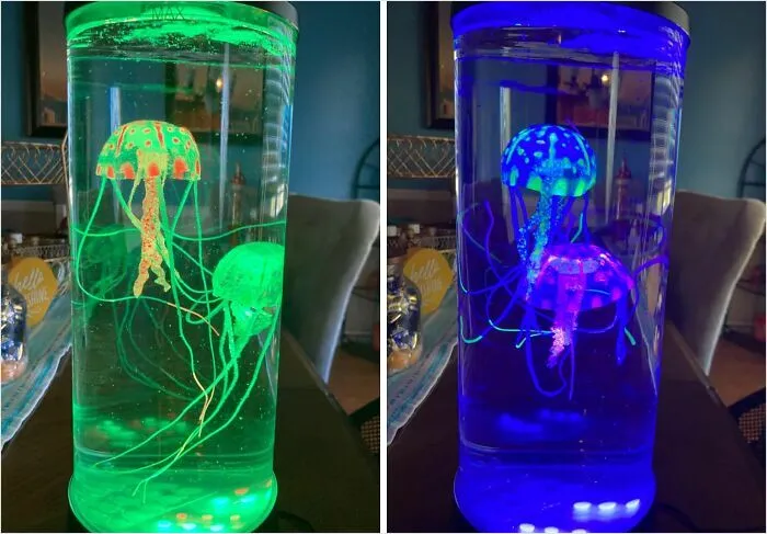 We're Hooked On This <a Style="Display:inline;" Href="Https://Www.amazon.com/Edier-Jellyfish-Lamp-Fantasy-Decorations/Dp/B0cmx17pcb?ie=utf8&th=1&linkcode=ll1&tag=bpbobcat-20&linkid=5194e5ac00f20f0991fe924522b48dc5&language=en_us&ref_=as_li_ss_tl" Target="_blank"><span Style="Font:inherit; Color: #d74b1f;"> Jellyfish Lamp</Span> - It's A Stinging Sensation Of Cuteness