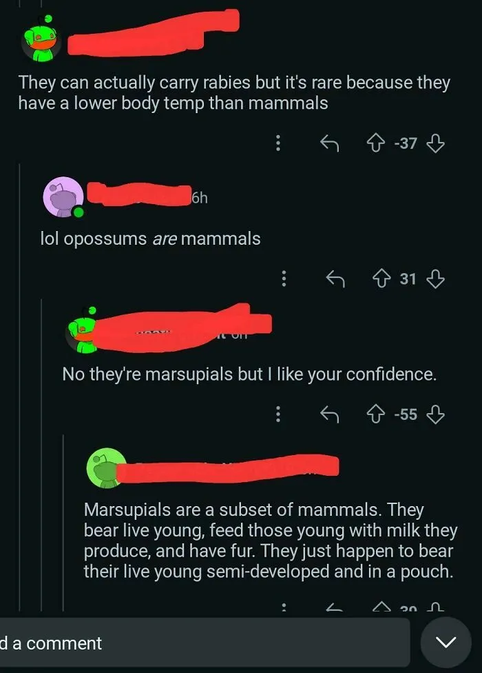 Silly Marsupial