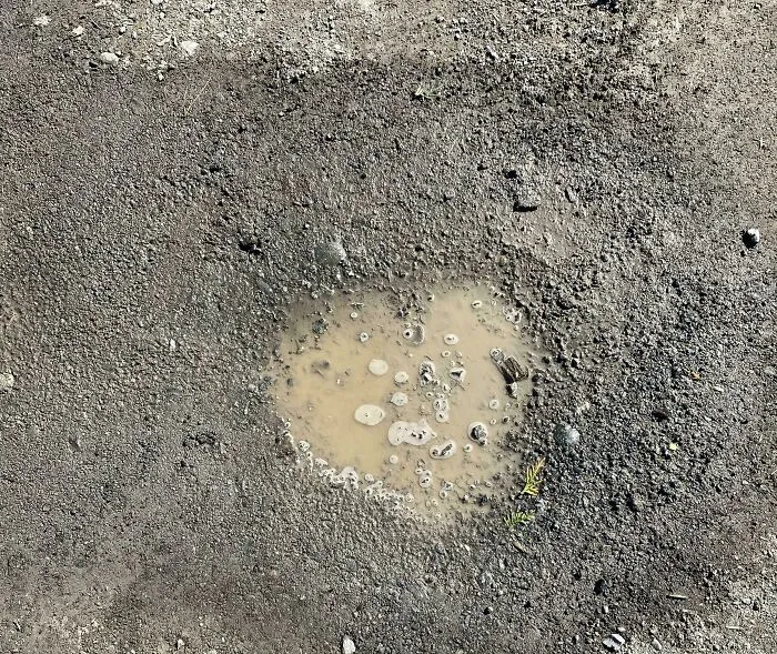 Heart Shaped Puddle That Was Not Well Received By R/Mildlyinteresting
