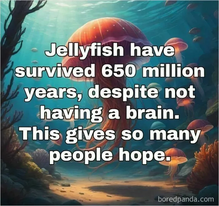 40 Hilarious ‘Science Memes’ That Do Not Require A PhD (New Pics)