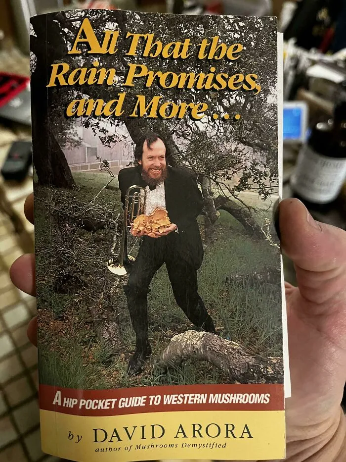 This Sure Is Something
