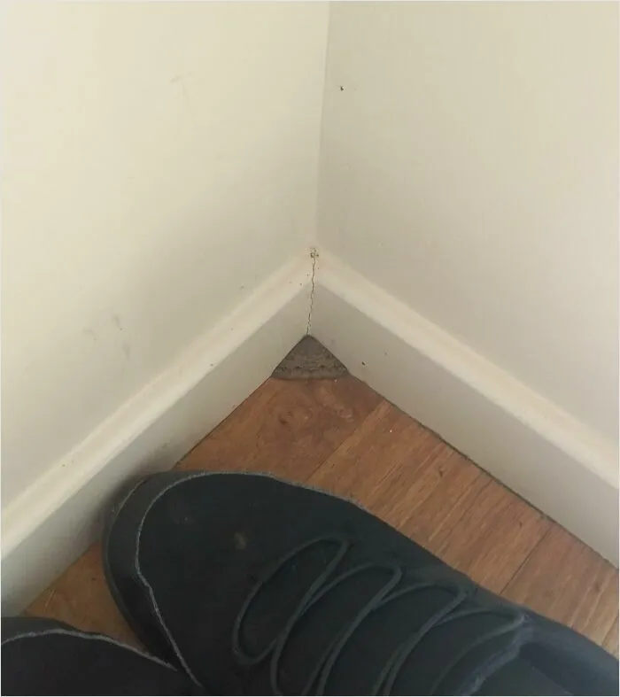 Black shoe fitting perfectly into a triangular corner on a wooden floor, creating a satisfying perfect fit.