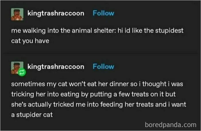 Funny-Jokes-Random-Memes