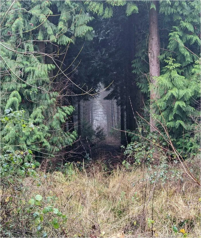 Found A Portal To Elsewhere