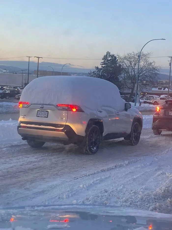 This Might Be The Most Lazy Person I’ve Seen