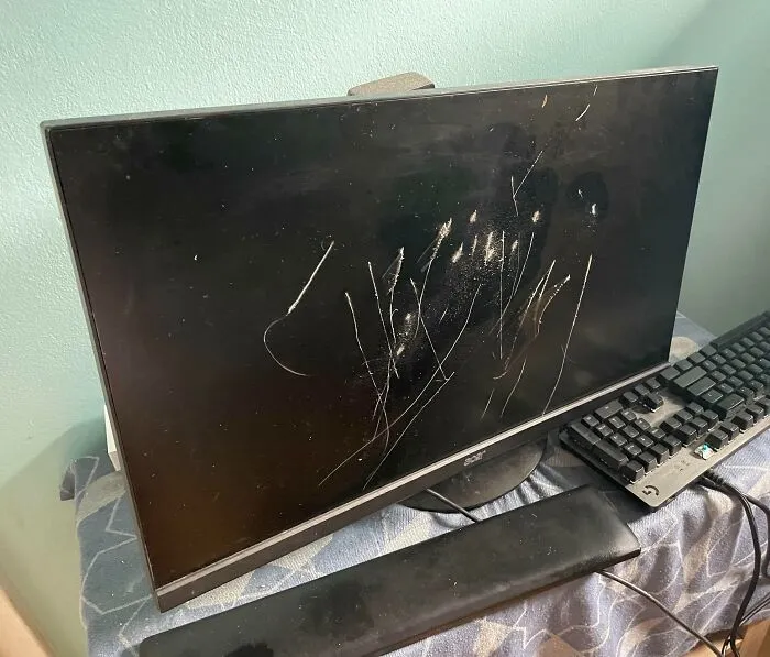 Mi mamá tomó mi monitor