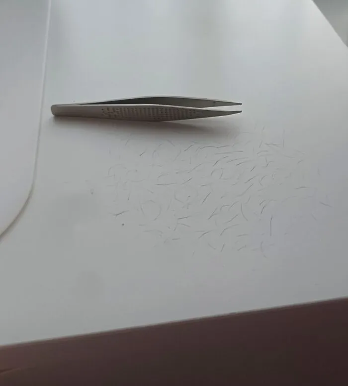 Mi hermana se depiló con una pinza los vellos de las rodillas porque, según ella, “son demasiado difíciles de afeitar”, y luego los dejó sobre mi escritorio