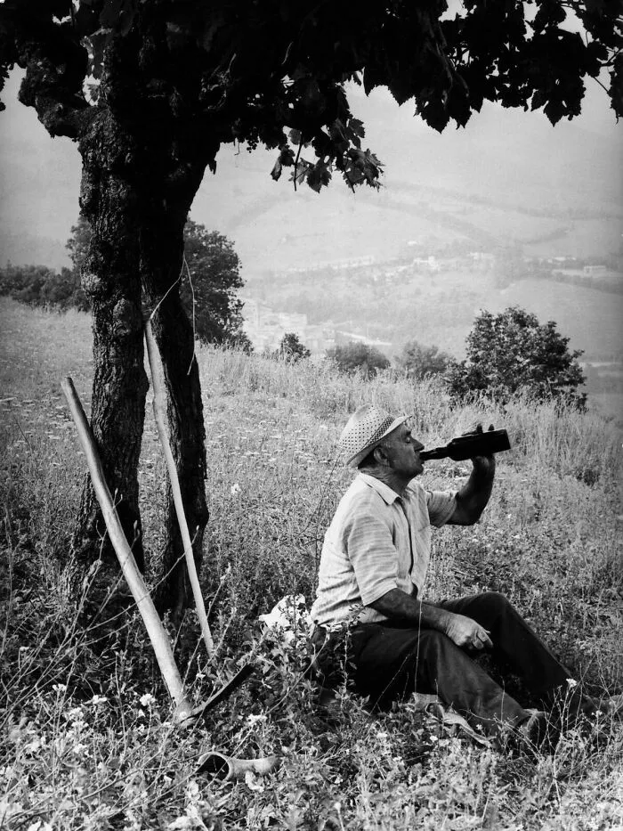 Old Farmer Drinking Wine After Sowing, Roccanolfi, Italy, 1973