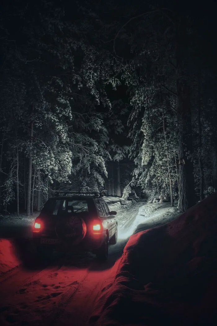 I Drove Into A Deep Winter Forest At Night, And It Looks Like In Some Stephen King Story