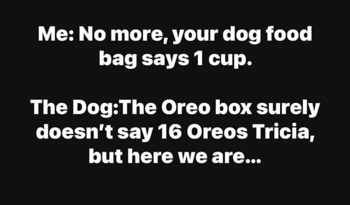 The “Now That’s Funny” IG Page Shares 50 Unhinged And Relatable Memes