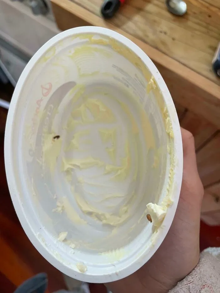 Mi pareja volvió a meter esto en la nevera