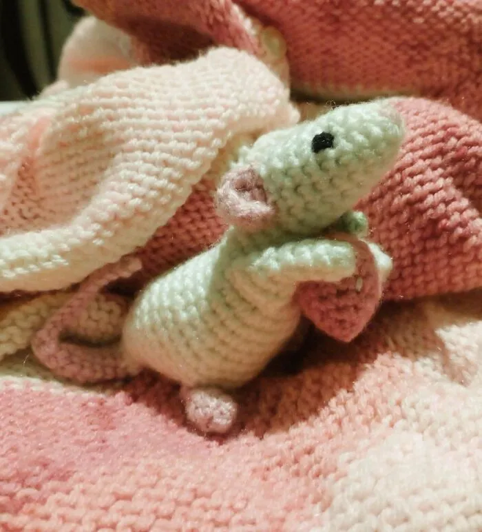 Did I Study For Tomorrow's Exam? No. Did I Make A Rat Holding A Strawberry? Yes