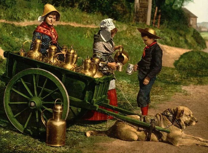 Milksellers, Brussels
