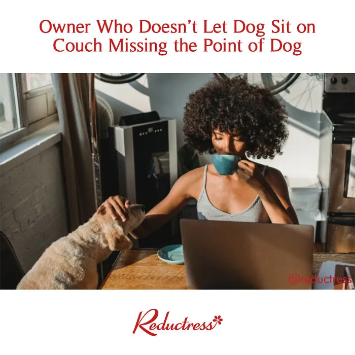 This Satirical Online Page Has 1.2M People In A Chokehold With Its Spot-On Hilarious Headlines (New Pics)
