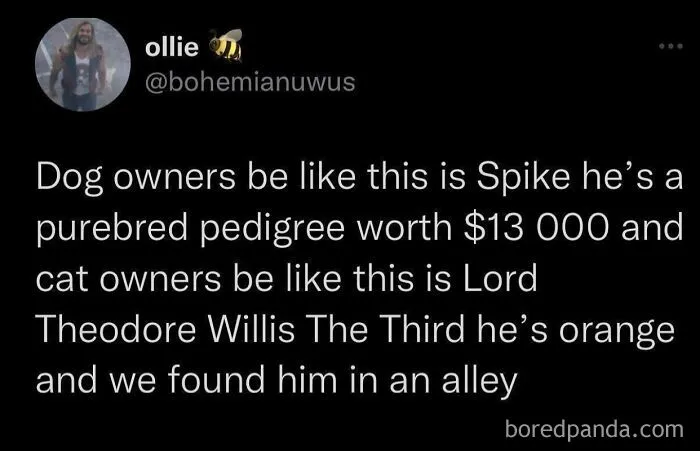 This IG Page Is Dedicated To Sharing The Most Hilariously Random Memes, And Here Are 50 Of Them