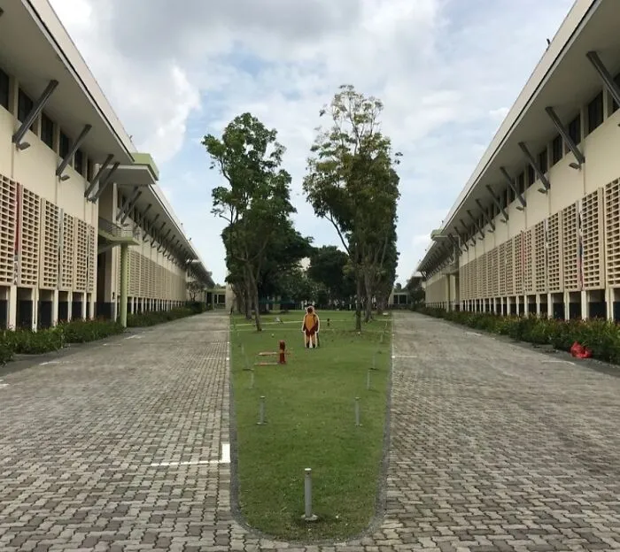 La zona con césped parece estar dentro de un vaso