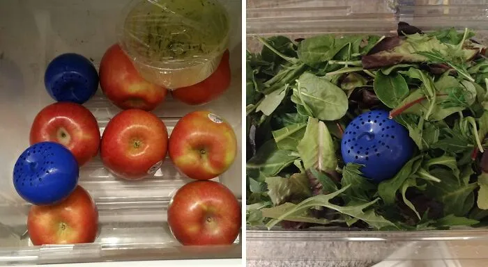  <a Style="Display:inline;" Href="Https://Www.amazon.com/Produce-Saver-Fruit-Fresh-Vegetables/Dp/B005w6drny?ie=utf8&linkcode=ll1&tag=bpstingray-20&linkid=6c83c133cfd64495188cd047a9ed7c3e&language=en_us&ref_=as_li_ss_tl" Target="_blank"><span Style="Font:inherit;color:#d74b1f;"> Produce Savers</Span> Helped Us Pretend That We Will Get To Those Fruits And Veggies A Little Longer